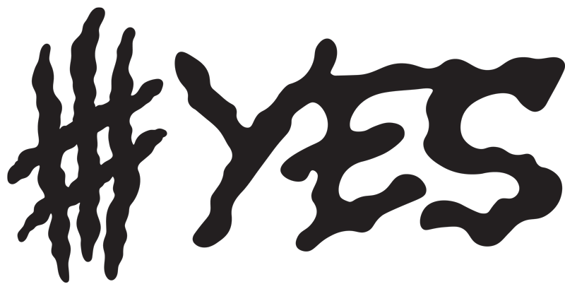 YES Snowboards YES Snowboards